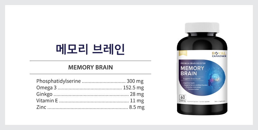 Memory_Brain_detailed_pages_10_003726.jpg