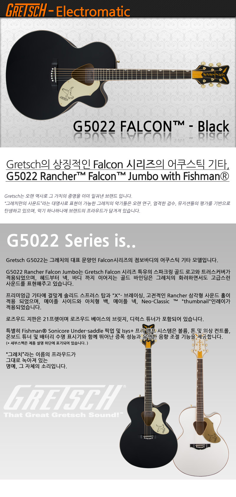 Gretsch-G5022-BlackFalcon_1_143834.jpg