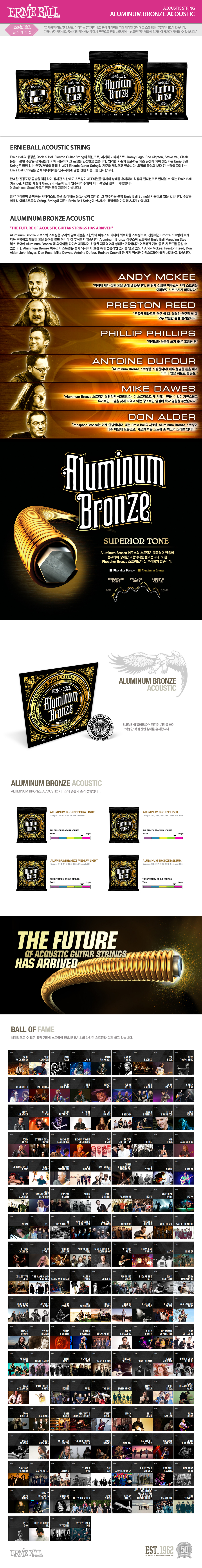 aluminum_bronze_acoustic_102035.jpg