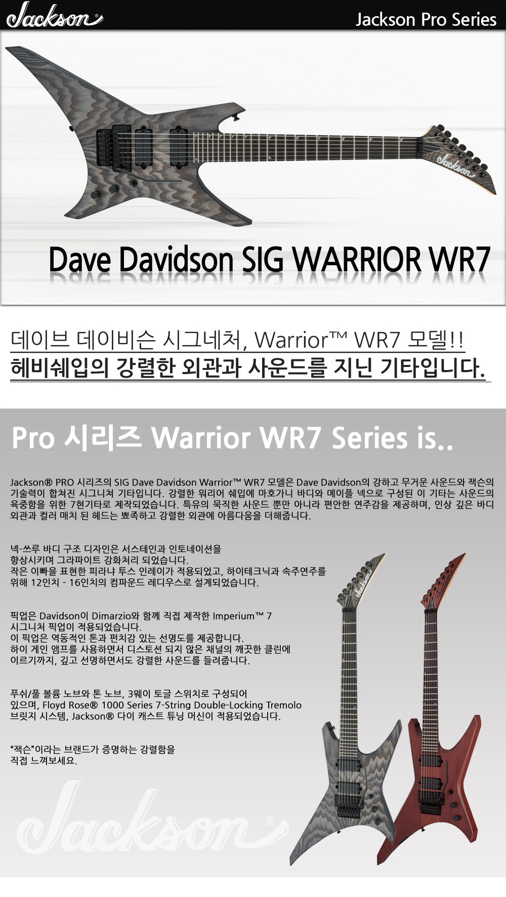 Jackson-Pro-SIG-DD-Warrior-WR7-DistressedAsh_1_115316.jpg
