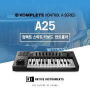 NATIVE INSTRUMENTS KOMPLETE KONTROL A25 마스터 피아노