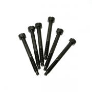 Schaller Floyd rose lock screw set(6pcs) | 쉘러 오리지널 플로이드로즈 락 스크류