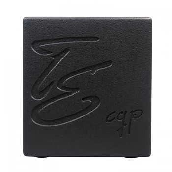 AER Compact 60/4 TE (Tommy Emmanuel Signature) 어쿠스틱 기타 앰프 스피커