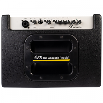 AER Alpha Plus 어쿠스틱 기타 앰프 스피커